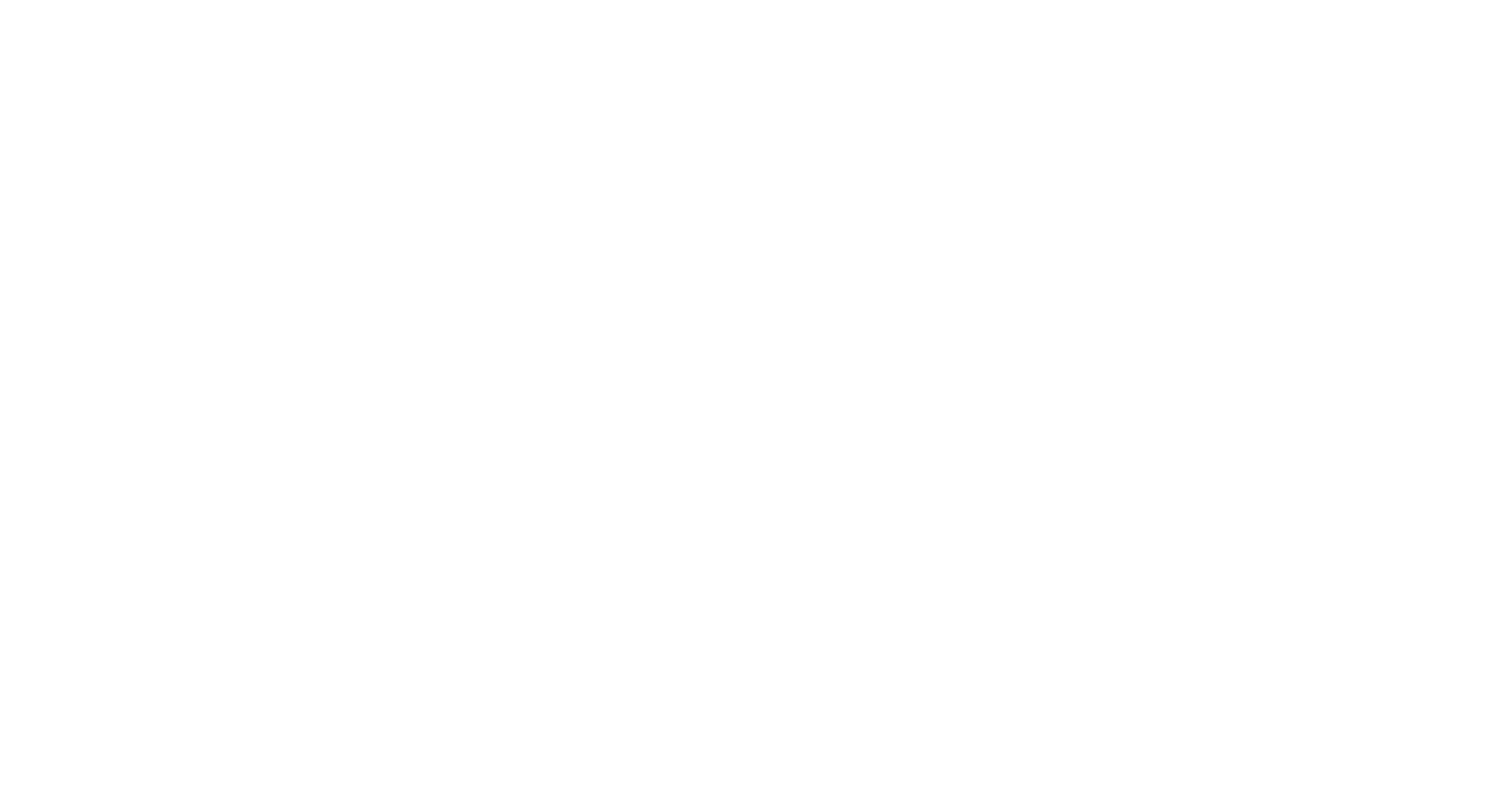 Camara Hotelera